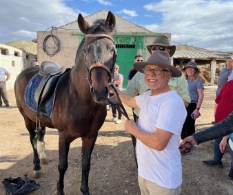 My beautiful horse in Morocco